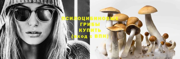 бошки Абаза