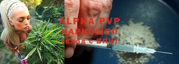 индика Ростов