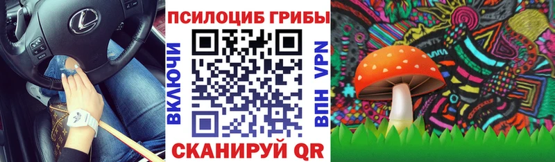 купить наркотик Талдом маркетплейс телеграм Псилоцибиновые грибы Cubensis